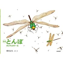 かがくのとも　トンボの絵本　はぐろとんぼ　ギンヤンマそらへ　福音館 かがくのとも トンボの絵本 はぐろとんぼ ギンヤンマそらへ 福音